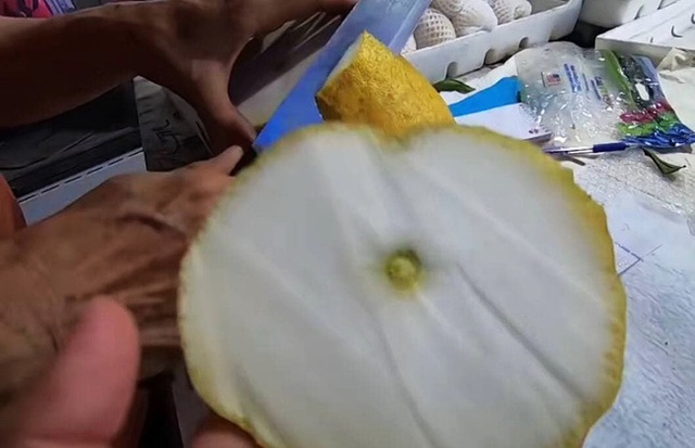Dân mạng xôn xao loại bưởi lạ to như quả bí khổng lồ, ăn được từ vỏ đến ruột với giá lên tới 100k/kg!? - Ảnh 5.