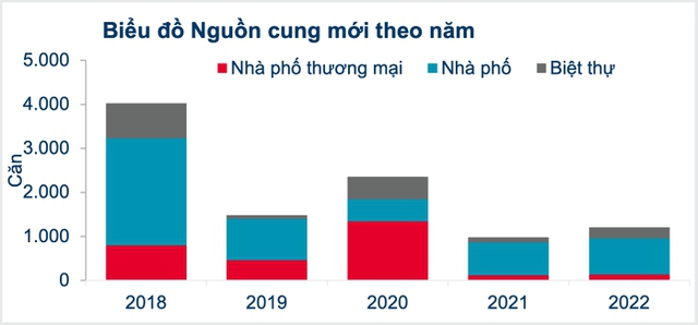 Nhà liền thổ tại TP. HCM tăng gấp 2 lần chỉ trong một năm - Ảnh 1.