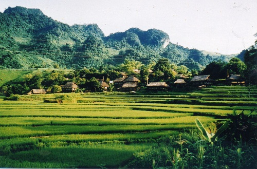 Thêm đại gia muốn đầu tư khu nghỉ dưỡng gần 150 ha tại Cao Phong, Hòa Bình - Ảnh 1.