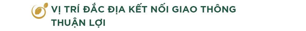 Lợi thế nào giúp Cà Mau là điểm sáng trên bản đồ đầu tư bất động sản? - Ảnh 8.