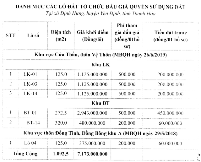 Thanh Hóa sắp đấu giá 6 lô liền kề, biệt thự với giá khởi điểm 375 nghìn đồng/m2 - Ảnh 1.