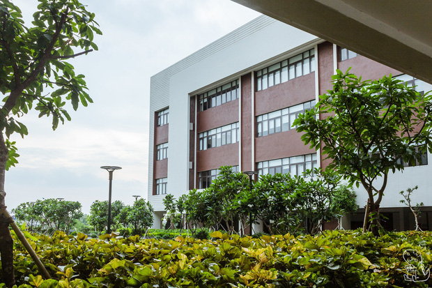  Một trường ở Việt Nam có cơ ngơi 600 tỷ, chơi lớn cấp 1 tỷ đồng mua nhà mời Giáo sư - Tiến sĩ về dạy, không gian không khác gì châu Âu! - Ảnh 2.