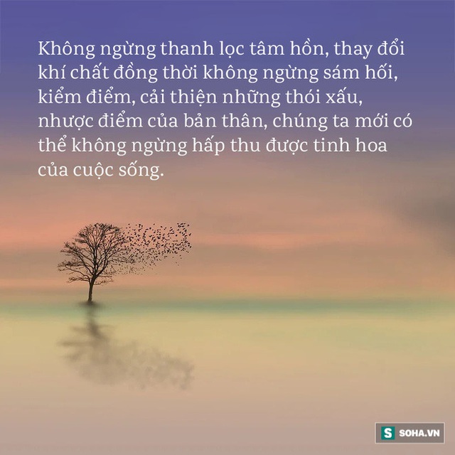 Nổi cáu vì người ăn mày dùng bát vỡ để xin nước uống, chàng trai lập tức nhận ngay 2 câu giáo huấn cả đời không quên - Ảnh 3.