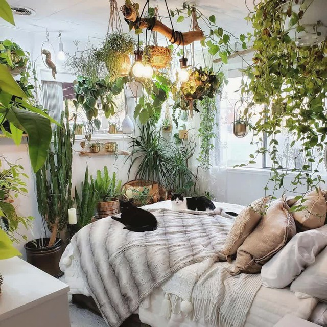 Mất ngủ triền miên: 4 lỗi phong thuỷ cực hung trong nhà cần phải để ý, cải thiện ngay kẻo sức khỏe xuống dốc không phanh - Ảnh 3.