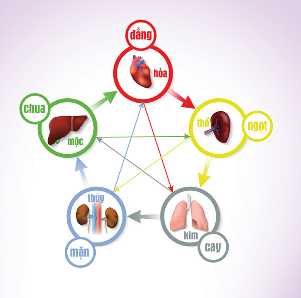 Ngũ vị nhập ngũ tạng: Bí quyết ăn uống giúp nội tạng khoẻ mạnh, cơ thể ít bệnh của Đông y - Ảnh 1.