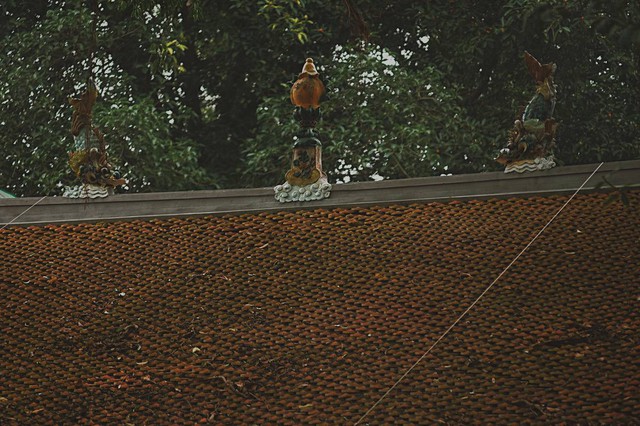 Một ngôi đền nằm ở vị trí đắc địa giữa trung tâm Hà Nội, ngay trong phố đi bộ hồ Gươm nhưng bạn có nhận ra? - Ảnh 5.