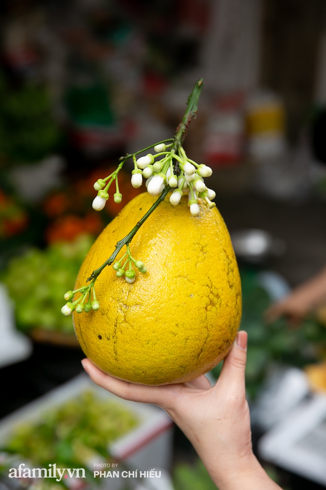 Hàng bưởi Diễn da vàng óng có từng búi hoa tươi trở thành món hàng siêu độc trên chợ nhà giàu Hà Nội, tận 100k/quả, bà chủ thu cả chục triệu mỗi ngày! - Ảnh 5.