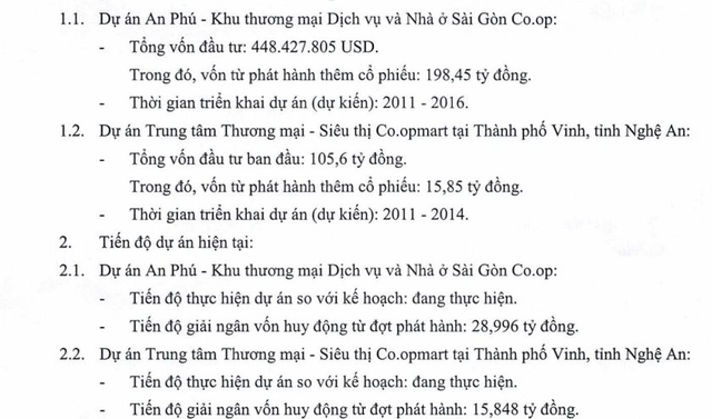 Dự án gần 450 triệu USD ở TP.HCM của SCID tiếp tục được bơm tiền - Ảnh 1.