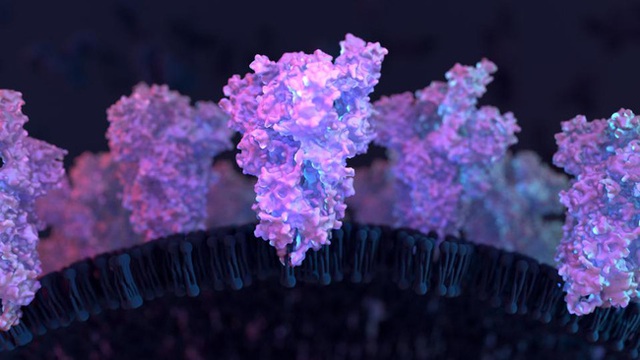Vì sao biến chủng của virus SARS-CoV-2 xuất hiện ngày càng nhiều và qua mặt hệ miễn dịch? - Ảnh 1.
