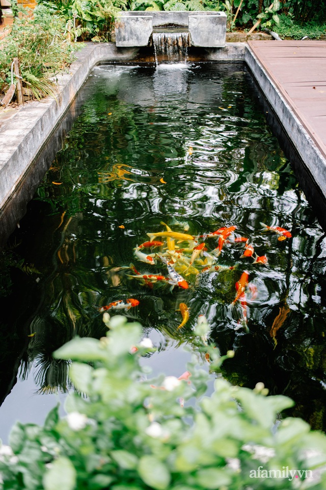 Cải tạo không gian rêu phong thành nhà vườn gói ghém những bình yên của người phụ nữ Hà Thành - Ảnh 7.