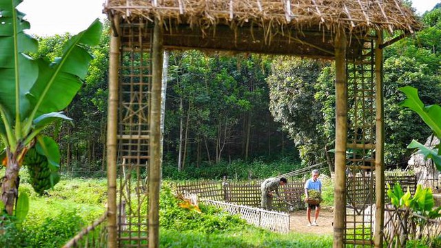 Bỏ việc lương 10 triệu, chàng trai về quê trồng rau, nuôi gà: Bình yên nhưng không dễ dàng - Ảnh 4.