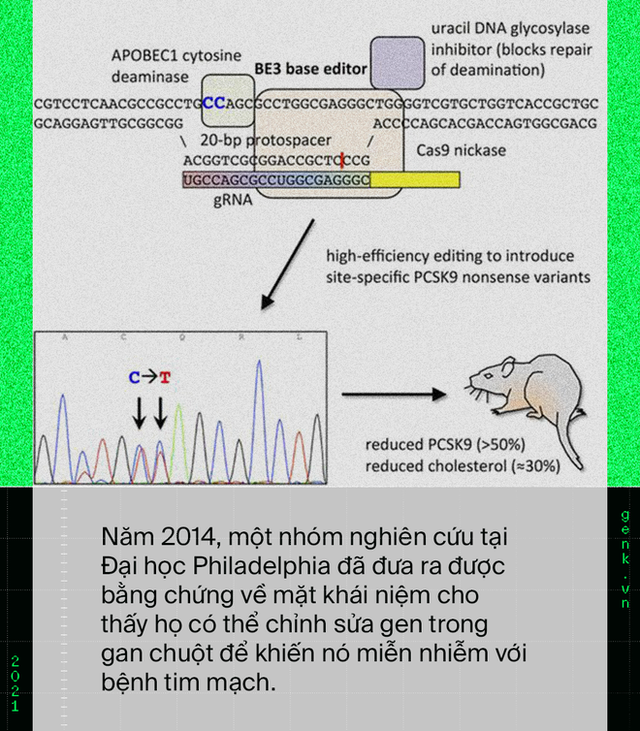 Làm sao để nâng cấp một trái tim? Hãy cấy DNA từ những nhà vô địch Olympic - Ảnh 14.