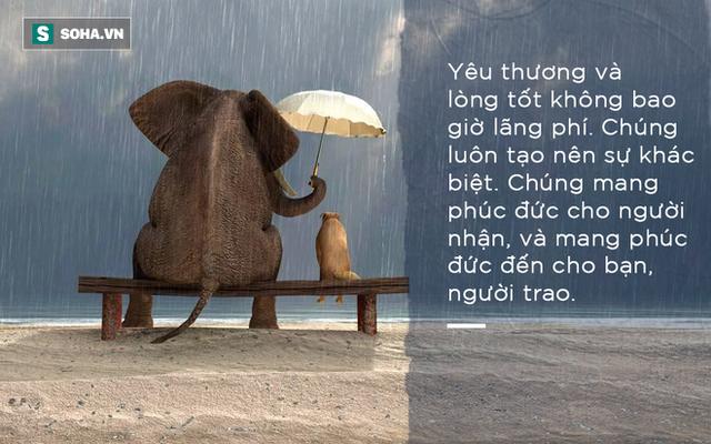  Trên đời này, thứ gì đáng giá nhất? và đáp án đơn giản nhưng có thể nhiều người vẫn đoán sai - Ảnh 4.