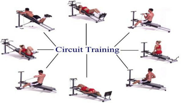 6 bài tập đơn giản vừa tốt cho tim mạch, vừa khiến não bộ luôn linh hoạt - Ảnh 1.