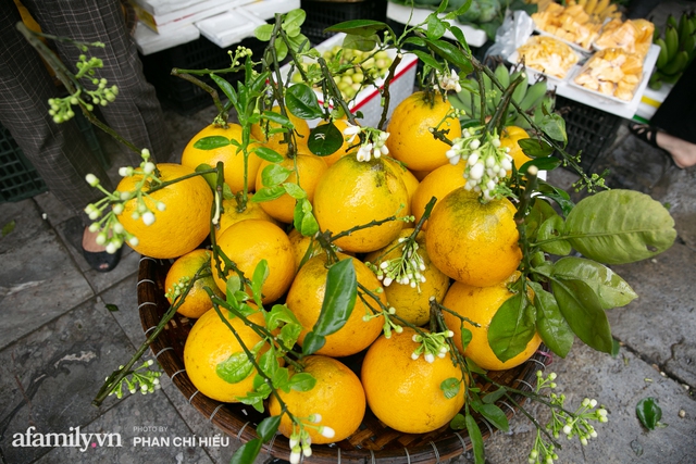 Hàng bưởi Diễn da vàng óng có từng búi hoa tươi trở thành món hàng siêu độc trên chợ nhà giàu Hà Nội, tận 100k/quả, bà chủ thu cả chục triệu mỗi ngày! - Ảnh 2.