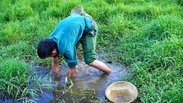 Bỏ việc lương 10 triệu, chàng trai về quê trồng rau, nuôi gà: Bình yên nhưng không dễ dàng - Ảnh 11.