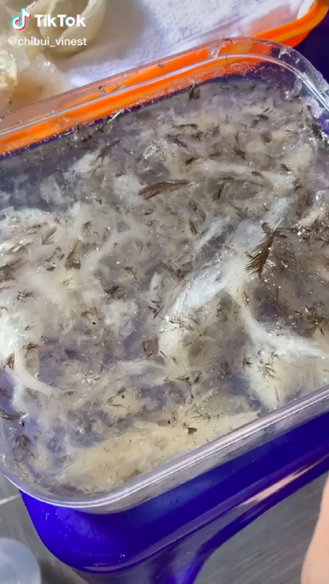 3 yếu tố biến yến sào trở thành món cao lương mỹ vị có giá “đắt xắt ra miếng” tại Việt Nam: Lý do cuối cùng mới gây bất ngờ - Ảnh 5.