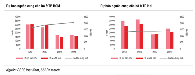 SSI Research: Hoàn thiện khung pháp lý và đẩy mạnh đầu tư hạ tầng là động lực cho bất động sản nhà ở năm 2021 - Ảnh 1.