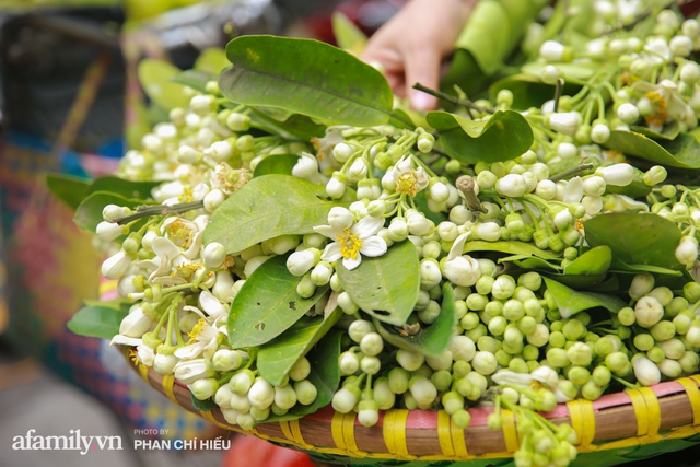 Hàng bưởi Diễn da vàng óng có từng búi hoa tươi trở thành món hàng siêu độc trên chợ nhà giàu Hà Nội, tận 100k/quả, bà chủ thu cả chục triệu mỗi ngày! - Ảnh 16.