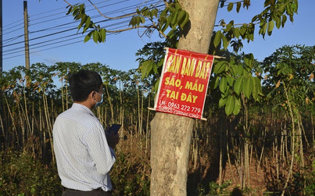 Cứ hễ đầu tư BĐS là lỗ, nhà đầu tư “kém duyên” này chỉ ra sự thật đằng sau những thương vụ thất bại - Ảnh 1.