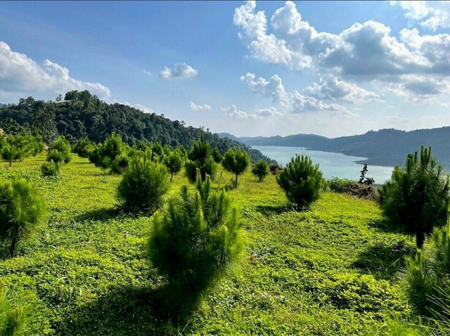 Nhà đầu tư săn lùng đất ven hồ, giá đất tăng nhiệt” - Ảnh 3.
