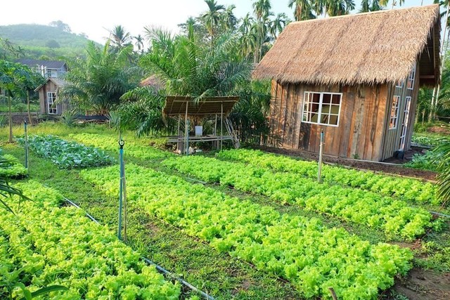 Bị năm tháng lãng quên, cụ bà 103 tuổi mà sức khỏe như hồi xuân xanh: Bí quyết trường thọ không phải là đi bộ nhiều mà chính là 3 điều này - Ảnh 4.