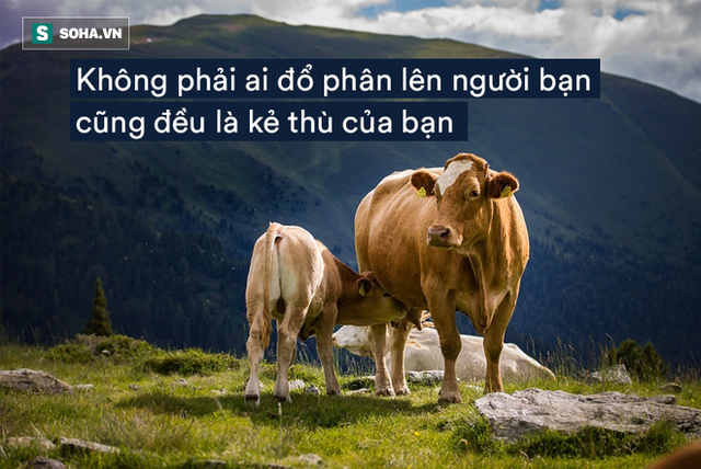 Thấy chiếc bình cổ vướng vào lưới đánh cá, người ngư dân nhặt lên và mở nút ra xem, suýt mất mạng vì thứ bên trong - Ảnh 3.