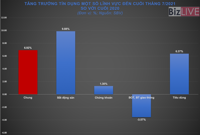 Tín dụng các lĩnh vực tiềm ẩn rủi ro đang ở mức độ nào? - Ảnh 1.