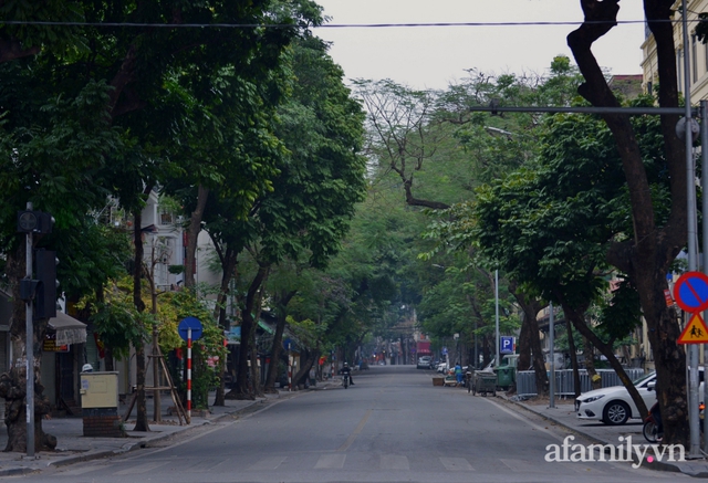 Hà Nội sáng mùng 1 Tết: Đường đông hơn mọi năm nhưng vẫn thênh thang yên bình đến lạ, người dân thong thả đạp xe, đi lễ đền Ngọc Sơn - Ảnh 2.