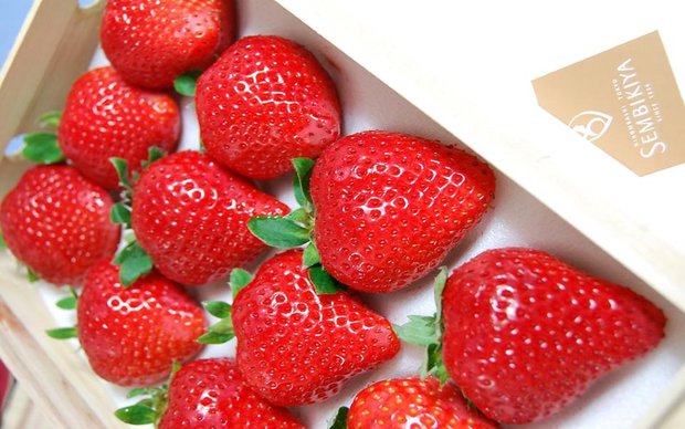  10 loại trái cây đến từ Nhật Bản đắt bậc nhất thế giới, có loại giá tới chục nghìn USD - Ảnh 4.