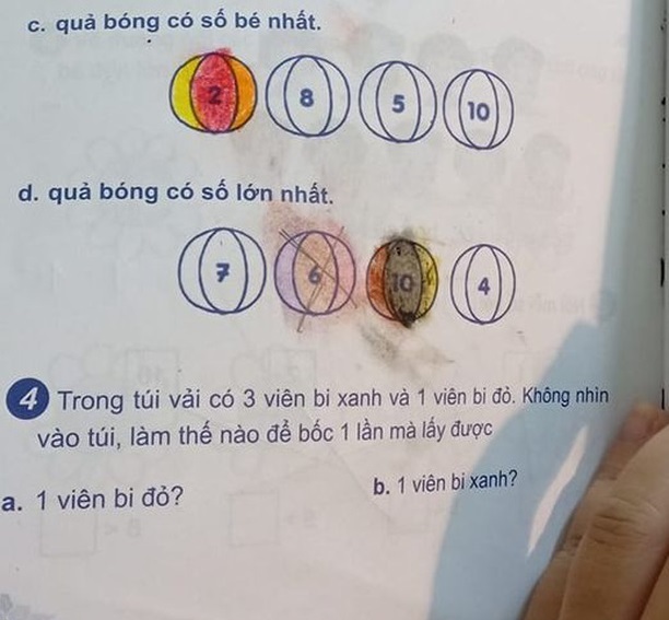 Bài toán lớp 1: Trong túi có 3 bi xanh - 1 bi đỏ. Làm thế nào để bốc 1 lần được 1 bi xanh và 1 bi đỏ, phụ huynh chào thua nhưng đáp án siêu dễ - Ảnh 1.