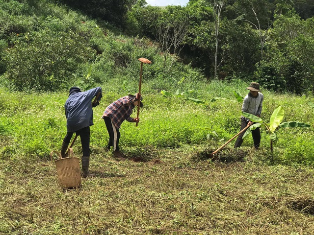 Những mẩu chuyện chưa kể của đôi vợ chồng trẻ bỏ phố về rừng: Không phải ai sinh ra cũng để trồng rau, nuôi cá - Ảnh 14.