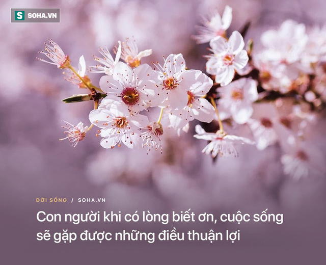 6 quý nhân thường xuất hiện trong cuộc đời mỗi người, biết ơn họ, con đường công danh sự nghiệp sẽ bớt gập ghềnh trắc trở - Ảnh 2.