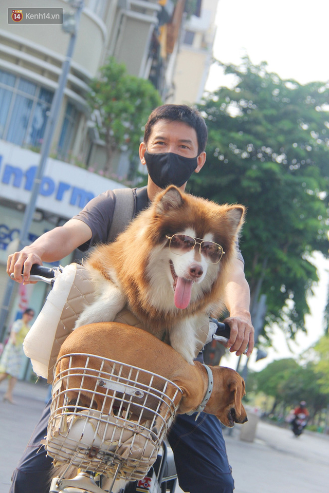 Ảnh: Ngắm một Sài Gòn yên bình trong sáng 30/4, mọi tuyến đường, góc phố phấp phới cờ hoa - Ảnh 6.