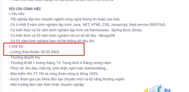 Đây là nghề có nhu cầu tuyển dụng tăng bất chấp dịch: Nhiều công ty mời chào nhân sự với mức lương 1000 USD/ tháng - Ảnh 3.