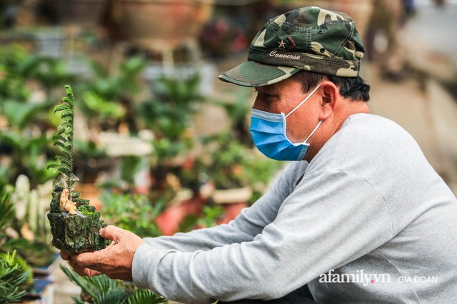 Vạn tuế bonsai của nghệ nhân Hà thành giá hàng chục triệu đồng vẫn hút khách dịp Tết - Ảnh 2.