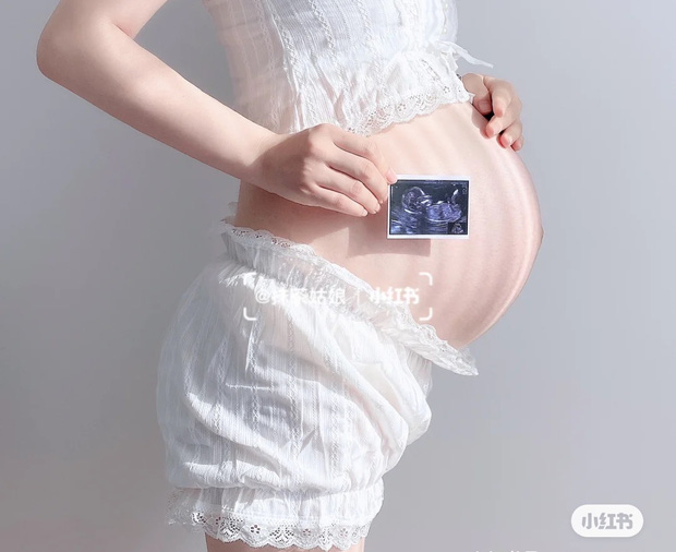 Sự thật về ngành công nghiệp mang thai hộ chuyên nghiệp ở Mỹ và sự tồn tại ngang nhiên của 400 cơ sở đẻ thuê chui tại Trung Quốc - Ảnh 4.