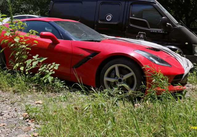 Xót xa toàn siêu xe, xe siêu sang tại nghĩa địa ô tô Trung Quốc: Rolls-Royce, Porsche, Corvette vứt cả đống, từ từ mục nát - Ảnh 5.