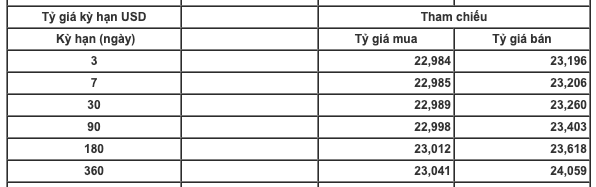 Giá USD tăng vọt trên thị trường tự do - Ảnh 2.