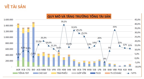 Toàn cảnh ngân hàng 2020 (kỳ 1): Tăng trưởng tổng tài sản giảm nhẹ so với cùng kỳ 2019 - Ảnh 1.