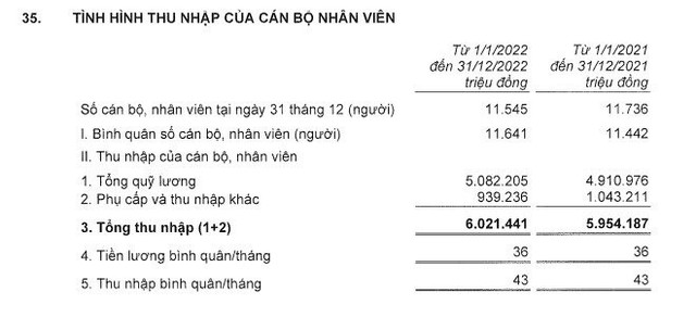 Cán bộ nhân viên Techcombank thu nhập bình quân 528 triệu đồng/người trong năm 2022 - Ảnh 2.