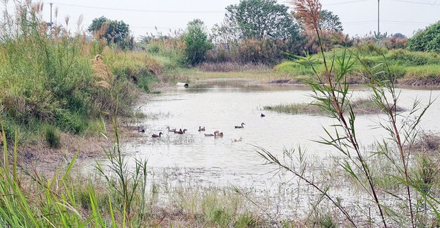 Cuối năm, cò đất thi nhau thổi giá loạt dự án đắp chiếu phía Tây Hà Nội - Ảnh 3.