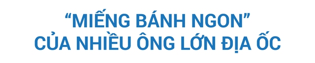 Cuộc “lột xác” thú vị của thị trường BĐS Long An: Đất nền giữ nhịp, nhà phố - biệt thự, Villa “thổi làn gió mới” - Ảnh 5.