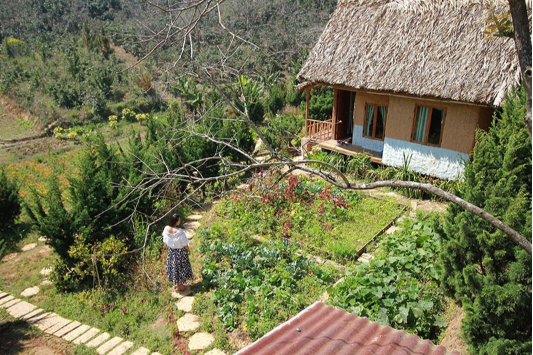 Mắc kẹt tại Đà Lạt vì dịch, cô gái quyết định xuống tiền mua đất làm farmstay nhưng không ngờ dính phải đất quy hoạch - Ảnh 1.