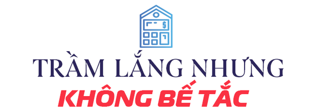 Chủ tịch DKRA Group: Bất động sản năm Quý Mão như “Mèo Tam thể” - Ảnh 3.
