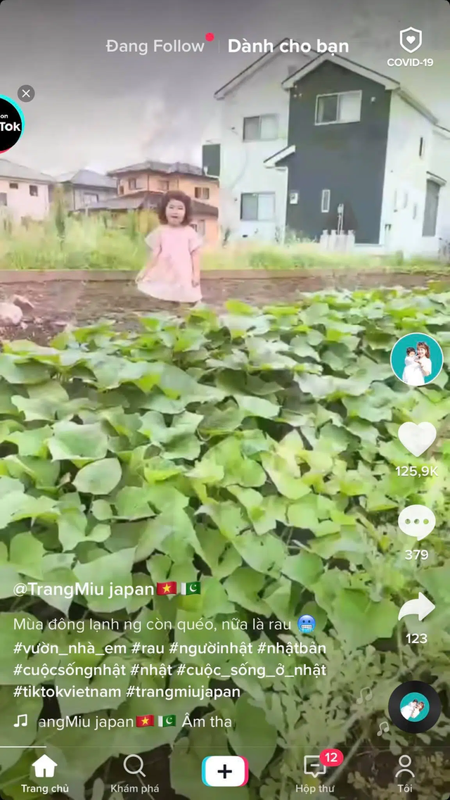 Nghịch lý thú vị: Rau của Việt Nam sang Nhật bị coi là cỏ nhưng những loại cây rẻ bèo lại được bán với giá cao trong siêu thị - Ảnh 5.