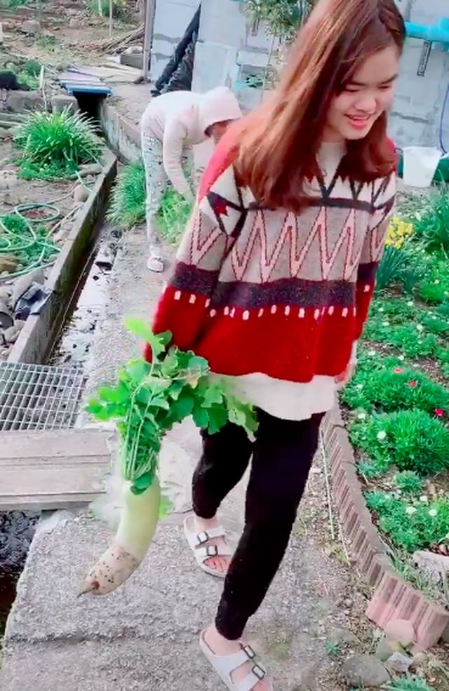 Nghịch lý thú vị: Rau của Việt Nam sang Nhật bị coi là cỏ nhưng những loại cây rẻ bèo lại được bán với giá cao trong siêu thị - Ảnh 2.