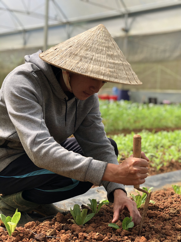 Cử nhân Luật bỏ thành phố lên Đà Lạt trồng rau, bị cha mẹ phản đối nhưng 1 năm sau nhận lại thành quả bất ngờ - Ảnh 1.