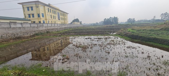 Dự án khu đô thị hơn 4 nghìn tỷ ‘bất động’, nhà đầu tư lao đao - Ảnh 2.