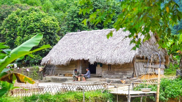 Bỏ việc lương 10 triệu, chàng trai về quê trồng rau, nuôi gà: Bình yên nhưng không dễ dàng - Ảnh 8.